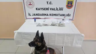 Tomarza operasyonunda büyük darbe 12 kişi cezaevine gönderildi
