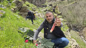 Bitlis dağlarında ışkın mesaisi başladı