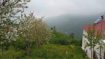 Sakarya’nın yükseklerinde bahar sisle buluştu