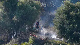 Antalya Aksu'da orman yangını paniği