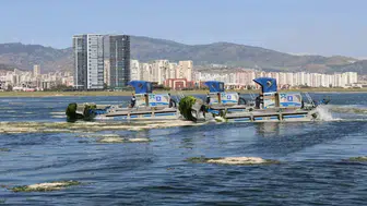 İzmir Körfezi’nde yeşil alarm Deniz marulları temizleniyor