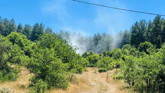 Muğla Menteşe ormanlarında çıkan yangın büyümeden söndürüldü