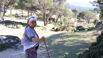 Beşparmak Dağları artık çobanlarını bekliyor