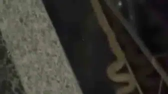 Kayapınar’da apartman sakinlerini sokağa döken yılan ziyareti