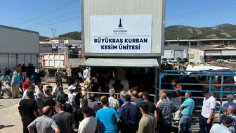 İzmir'de kurban telaşı sabahın ilk ışıklarıyla başladı