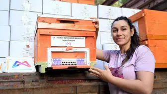 Mersinli arıcılar için Altın Kovan dönemi