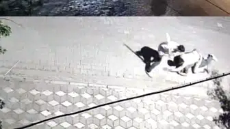 Manisa’da sokak ortasında bıçaklı hesaplaşma