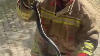 Hatay’da evlere giren davetsiz misafirleri itfaiye uzaklaştırdı