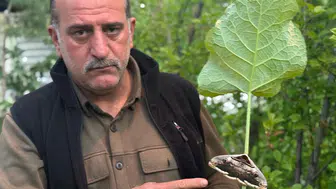 Erzurum Oltu’da alışılmadık misafir