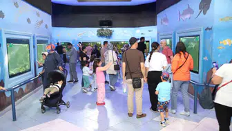 Gaziantep Doğal Yaşam Parkı bayramda ziyaretçi akınına uğradı