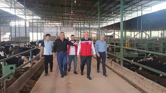 Hatay’da kurbanlık pazarları bayram öncesi mercek altında