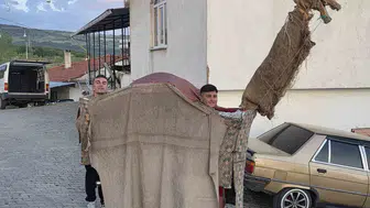 Manisa’da asırlık Kukla Deve geleneği ile dayanışma rüzgarı esiyor