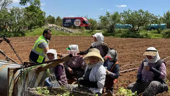 Denizli Belediyesi tarlada çalışan işçilere soğuk içecek dağıtıyor