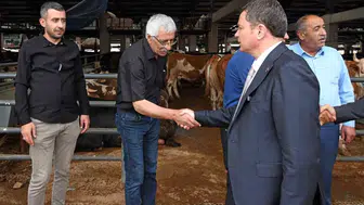 Osmangazi’de kurban pazarları bayrama hazır hale getirildi