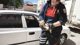 Dinar’da motoruna kedi kaçan sürücüye ikinci şok