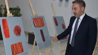 Binlerce yıllık mühürler dev boyutta gün yüzüne çıktı