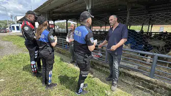 Kurban pazarında sahte para ve hırsızlık alarmı