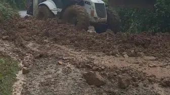 Artvin Borçka’da sağanak dereleri taşırdı