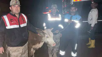 Siverek’te hırsızlara 40 saatlik kamera takibi