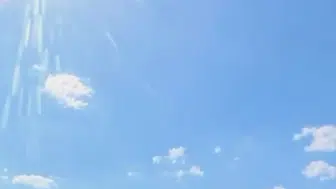 Avcılar sahilinde zabıta müdahalesi kanlı bitti