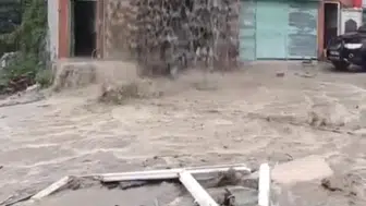 Ordu'da sağanak yağış evi şu kanalı gibi kullandı