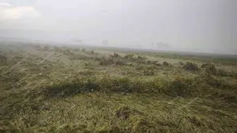 Osmaniye sel sularına teslim oldu Bir kadın evinde mahsur kaldı
