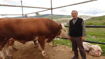 Yozgat kurban pazarında son saatlerin kıran kırana pazarlığı