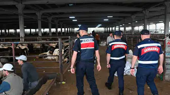 Gaziantep kurban pazarlarında havadan denetim dönemi