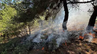 Bilecik ormanlarında çöpler yangına davetiye çıkardı
