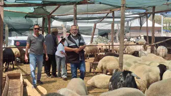 Didim kurban pazarında fiyatlar belli oldu