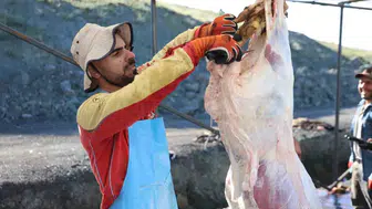 Elazığ’da kurban kesim alanlarında bayram mesaisi