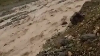 Elazığ’da sağanak yağış tarım arazilerini vurdu