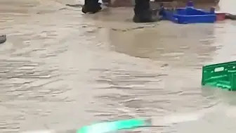 Samsun'da sağanak yağışta trafik polisinin mesai mücadelesi