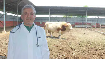 Kurbanlık hayvanlarınızı kesime hazırlarken bu kurallara dikkat edin