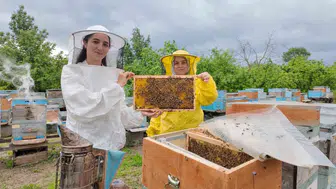Düzceli genç girişimci 350 kovanla arıcılıkta fark yaratıyor