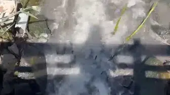 Ankara Büyükşehir Belediyesi’ne Mogan Gölü cezası