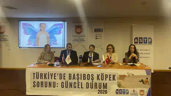 Başıboş köpek saldırısı mağdurları Ankara'da çözüm aradı