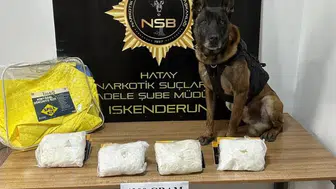 Hatay polisinde mayıs ayı operasyon bilançosu 77 tutuklama
