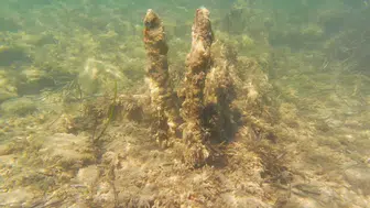 Kuşadası Yılancıburnu sahilinde gizli tehlikeye karşı dikkat