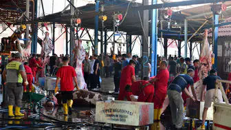 Antalya'da kurban kesiminde kuralları ihlal edenlere ağır para cezası