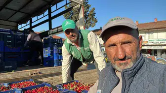 İznik’in meşhur karabodur kirazında ilk hasat heyecanı başladı