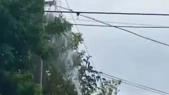 Aksaray'da elektrik direğinde can pazarı
