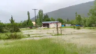 Kelkit Çayı taştı Tokat sular altında kaldı