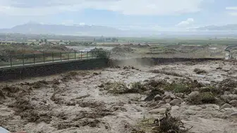 Hatay Hassa'da dereler taştı çiftçinin tarlası sular altında kaldı
