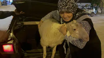 İznikli Müyesser teyzenin kuzu hasreti mutlu bitti
