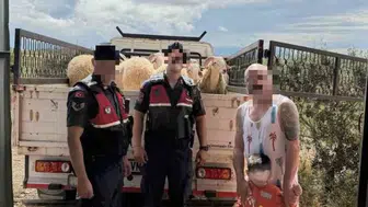 Didim’de çalınan kurbanlıklar jandarmanın takibiyle bulundu