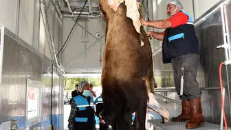 Erzurum'da kurban kesim yerleri dışındaki görüntülere ceza geliyor