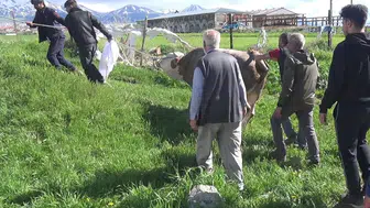 Erzurum'da kurban telaşı acıyla sonuçlandı