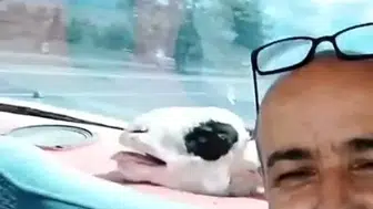 Niğde sokaklarında kurbanlık koyunla sıra dışı yolculuk