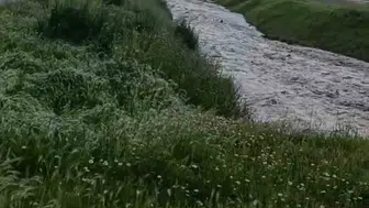 Ankara'nın iki ilçesinde sağanak hayatı felç etti